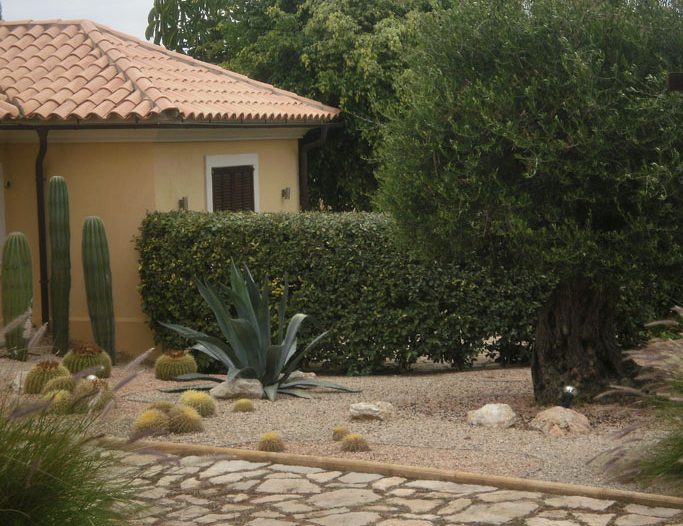 Palmengarten an einer Finca